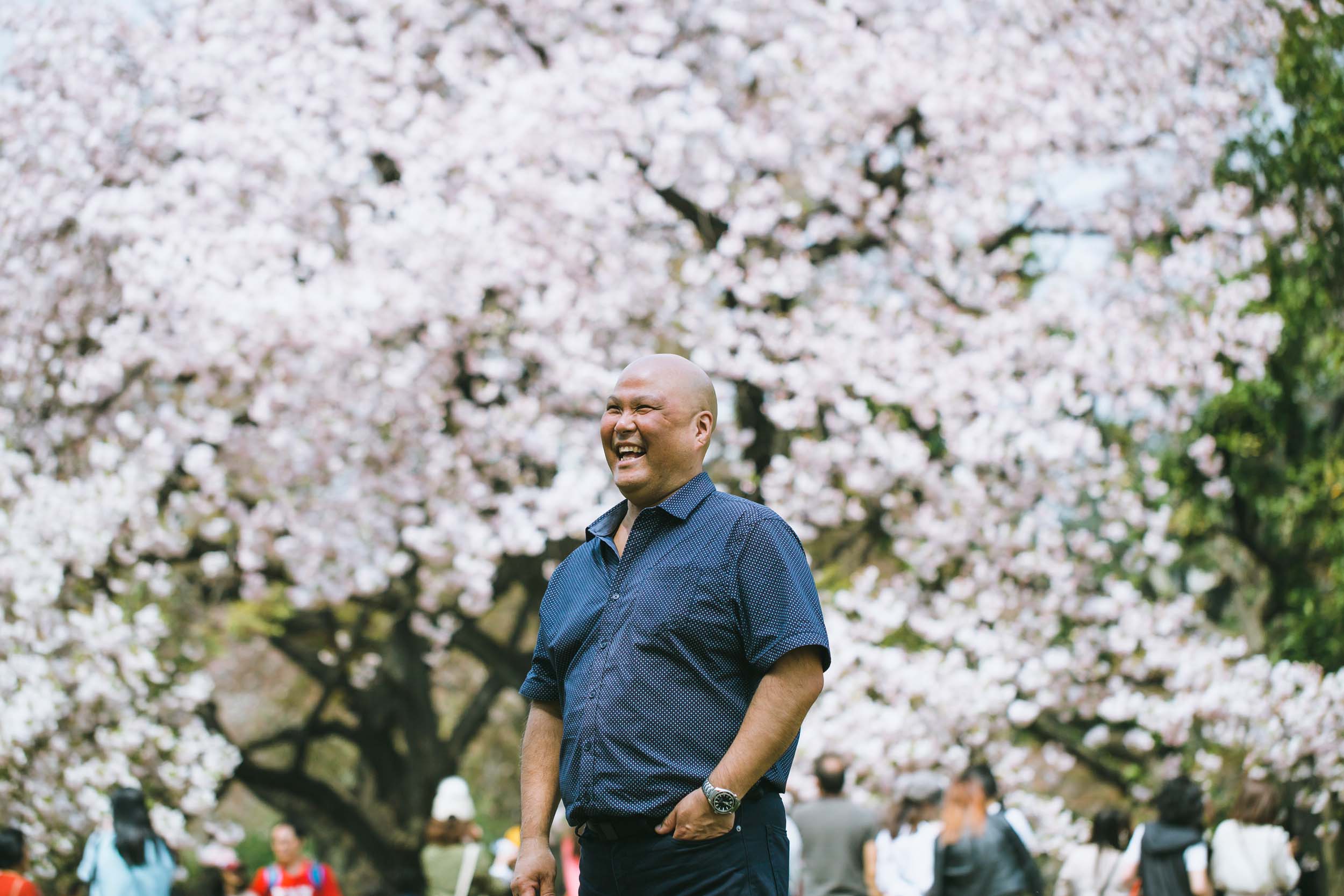 Cherry Blossom Season in Japan and What We Can Learn From It