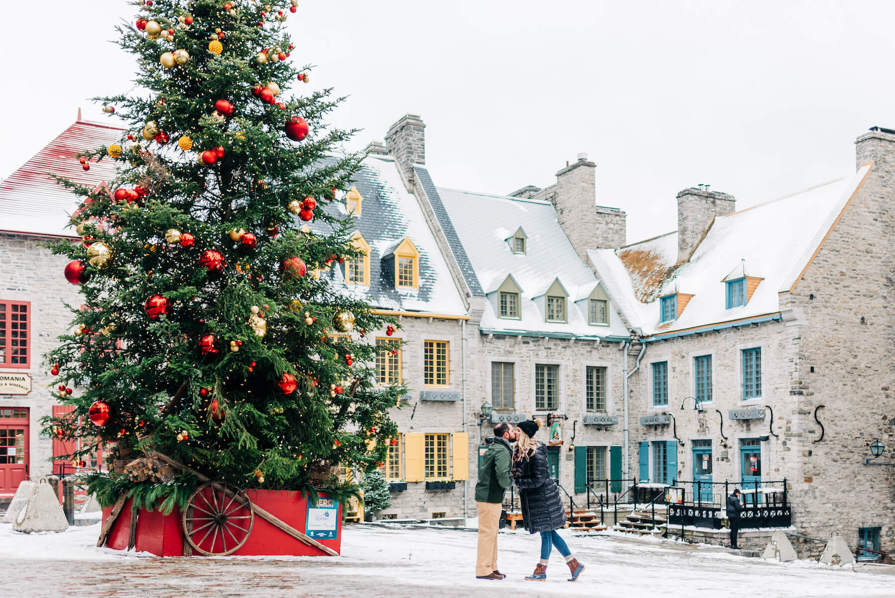 Blonde Girl Poses Near A Christmas Tree.