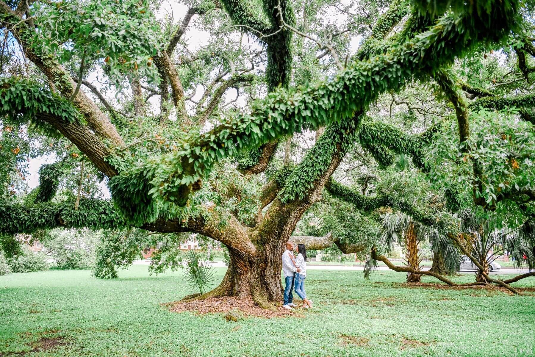 Indian couple posing outdoors in a garden for photo shoot. | Photo 268545